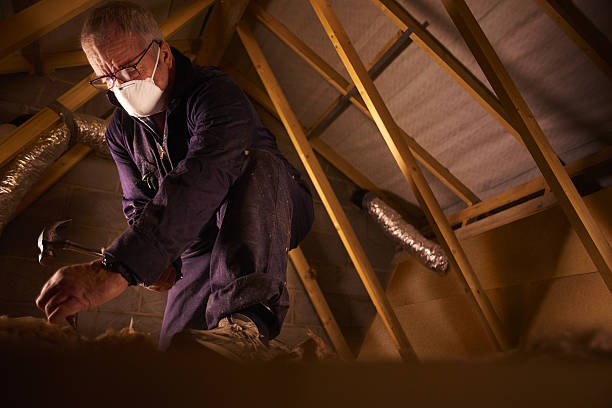 Best Types of Insulation in Agua Dulce, CA
